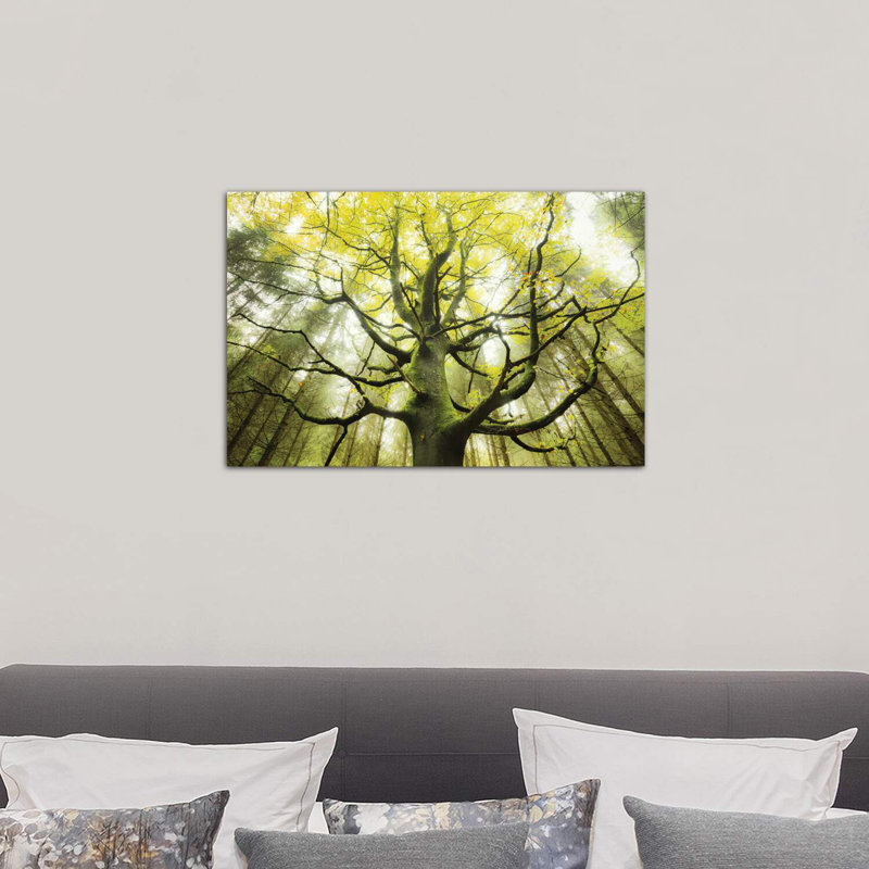 «The Dreamtree» par Stefan Hefele - reproduction de photo, H 18 po x l 26 po x P 1,5 po, Toile tendue
