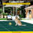 Inground Pool Safety Cover, 22 ft x 42 ft Rectangular