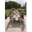 Around Dining Side Chair-1946299400