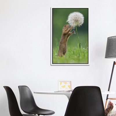 Ziesel With A Very Big Dandelion IV by Dick Van Duijn - Print on Canvas