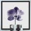Katarina Snygg - Single Picture Frame Painting-19024583