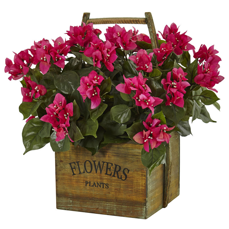 Arrangement floral bougainvillea dans un pot de fleurs