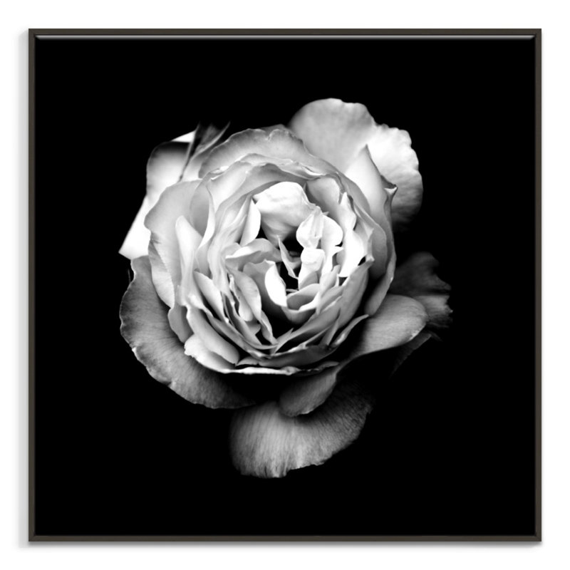 Print on Canvas, 76cm H x 76cm W, Black Floater Frame