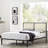 Modway Della Platform Bed-1330699877-1330699874-1330699873