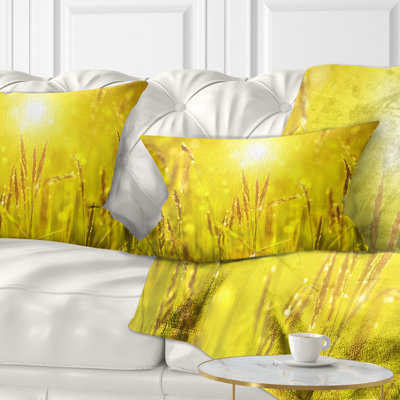 Coussin lombaire herbe au coucher du soleil