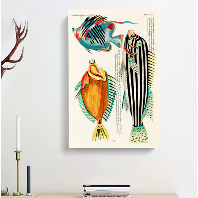 East Indies Fish Illustrations XXXI by Louis Renard - Wrapped Canvas