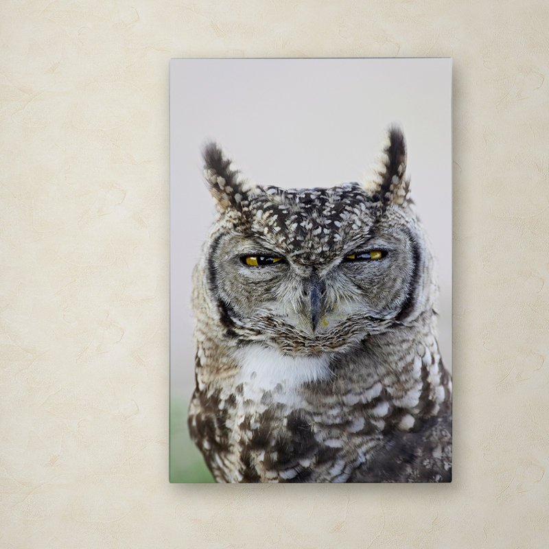 Ann «Grey Owl», reproduction de photo sur toile tendue Ann, H 19 po x l 12 po