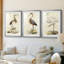 Antique Heron I - reproduction sur mesure encadrée de qualité supérieure - 3 pièces