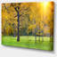 " Sunny Park With Oak Panorama "-26691274-65624090