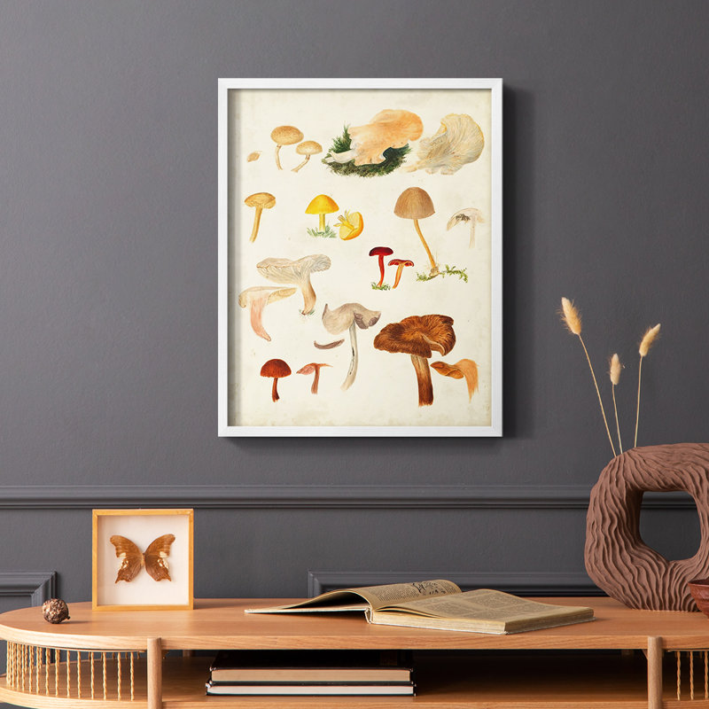 Reproduction encadrée de champignon Mushroom Species, Blanc, H 28 po x l 22 po