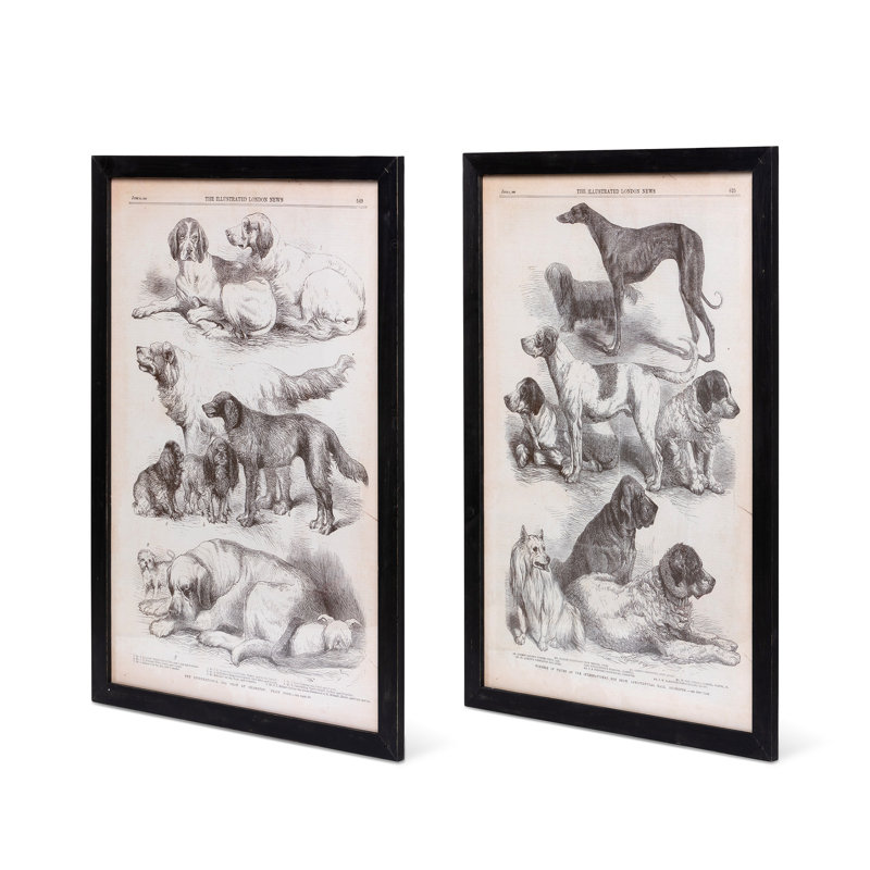 Canine Species Sepia Prints