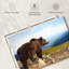 Crowle Mountain Bear-111960595