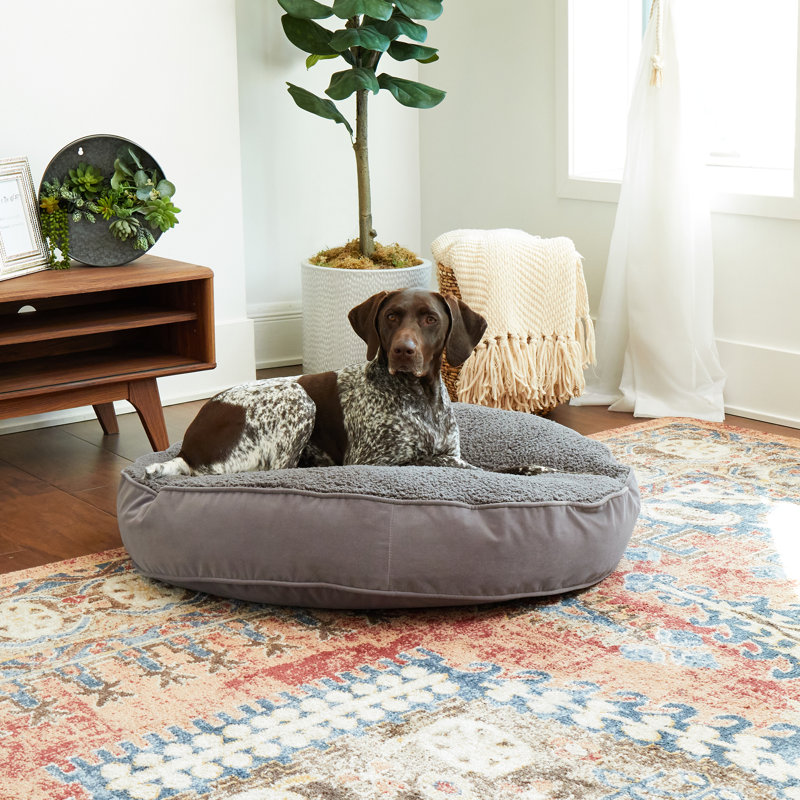 Lit pour chien Alyzae, Moyen (l 36 po x P 36 po x H 6 po), gris