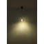 1 - Light Matte Black LED Pendant
