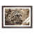 Walnut Framed selected