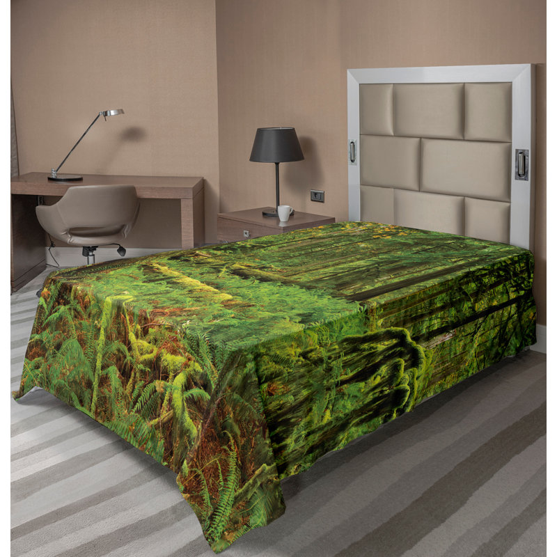 Drap plat Ambesonne, Simple