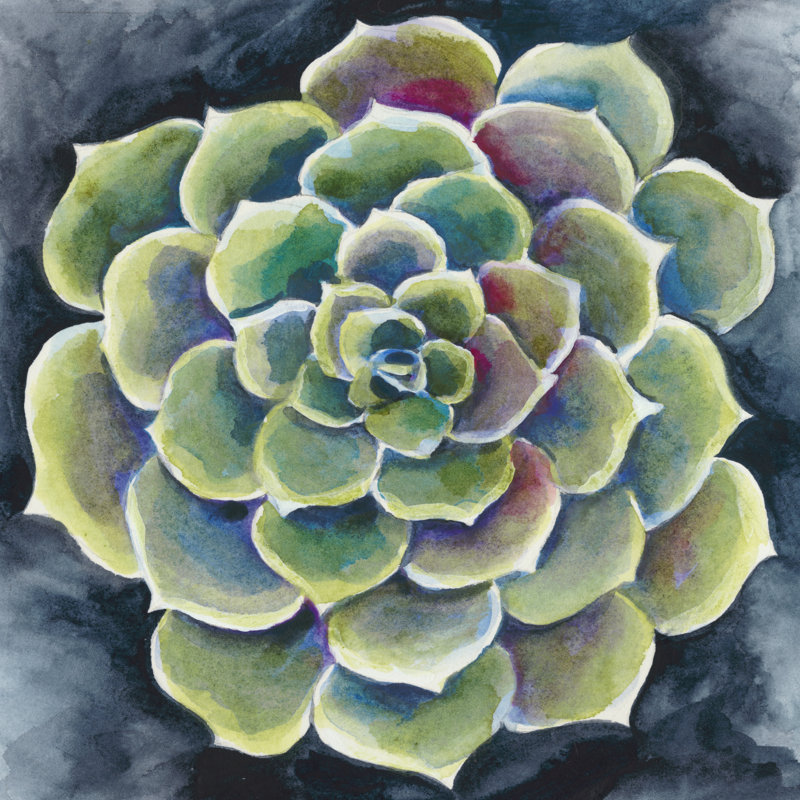 Rosette succulente II, H 20 po x l 20 po x P 1,25 po
