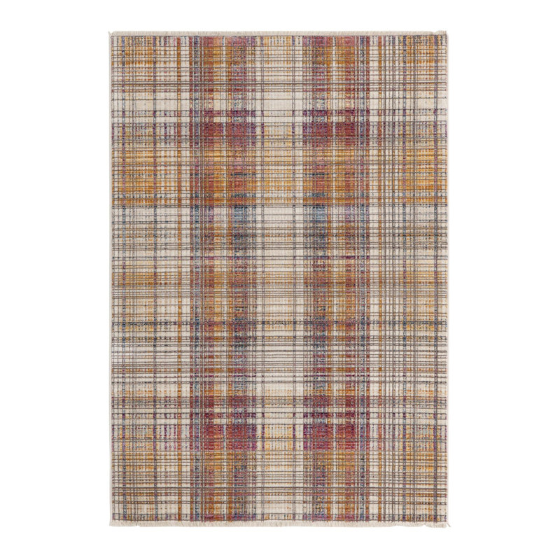 Sease Plaid Indoor Rug, Rectangle 4' x 5'10"