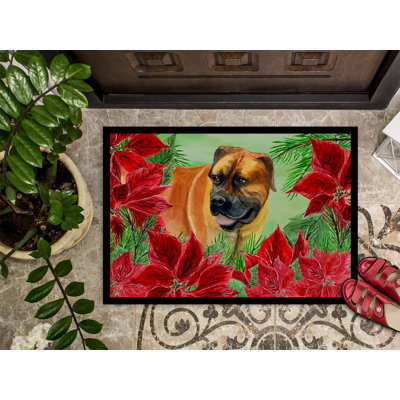 Non-Slip Outdoor Doormat
