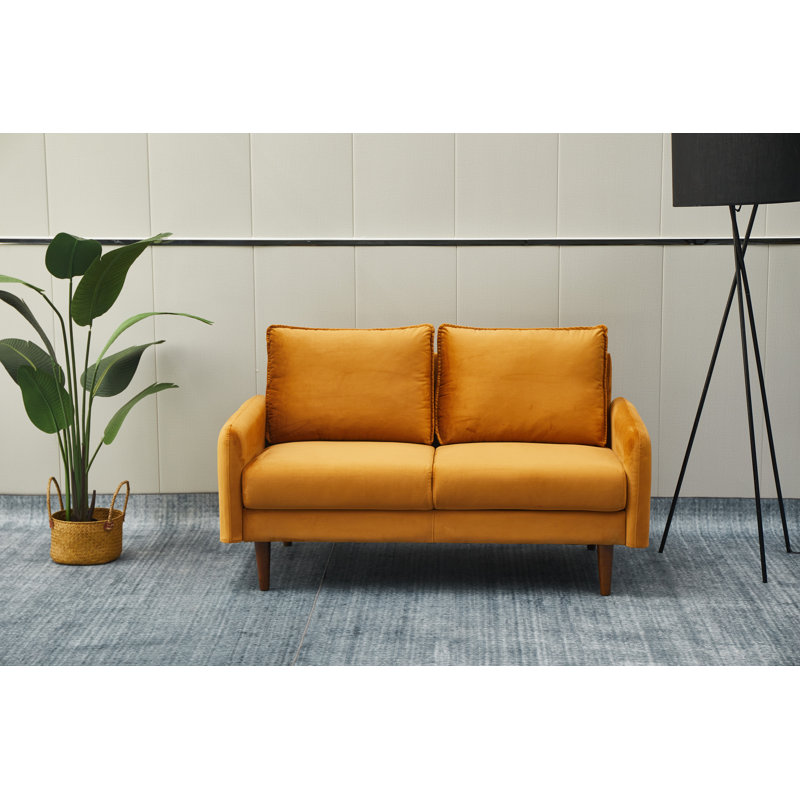 Emteas 57.3'' Velvet Loveseat, Ginger Velvet