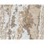 Hand Knotted Area Rug in Beige/Gold-213508685