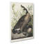 Canada Goose by John Audubon - Wrapped Canvas-55371183