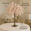 Cherry Blossom Arrangement-706330616