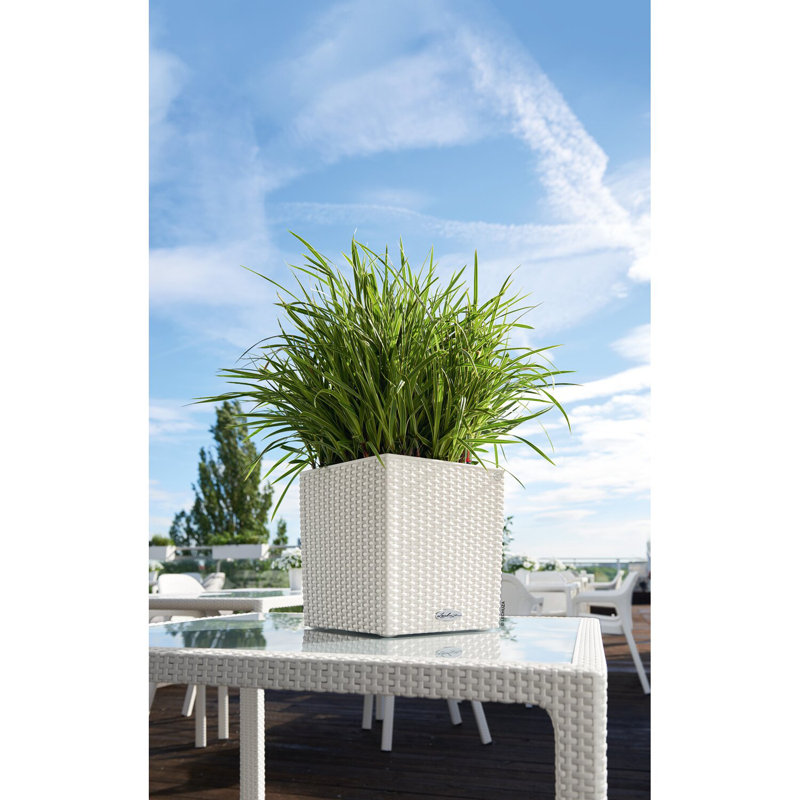 Moneak Planter Box, White, 50cm H x 50cm W x 50cm D