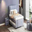 Lit plateforme double avec lit gigogne multifonctionnel, gris, robuste et confortable-151195620
