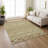 Machine Washable Indoor/Outdoor Boruta ACN2244 Navajo Rug-1386357038