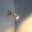Candelaria Spotlight