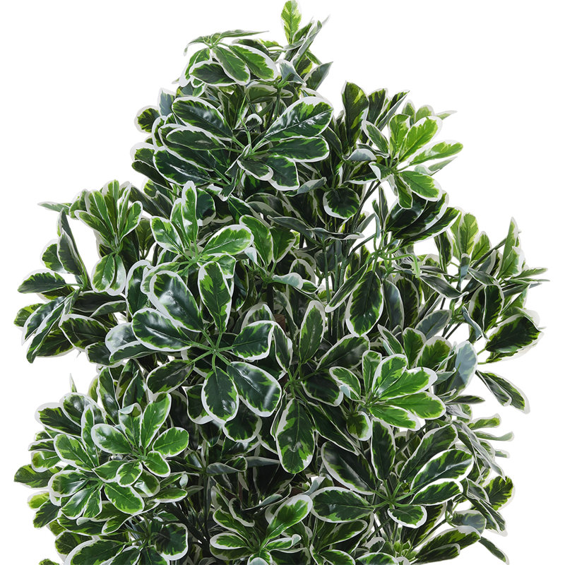 160 cm H Faux Plant in Plastic