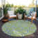 Chayden Area Rug