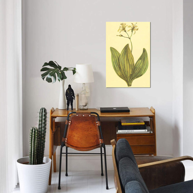 « clintonia », reproduction sur toile, H 26 po x l 18 po x P 1,5 po, Toile tendue, Pas de tapis