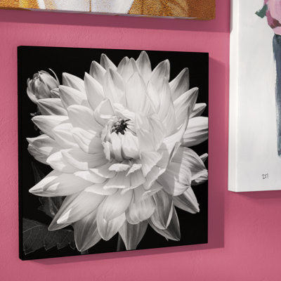 «White Dahlia II», impression sur toile
