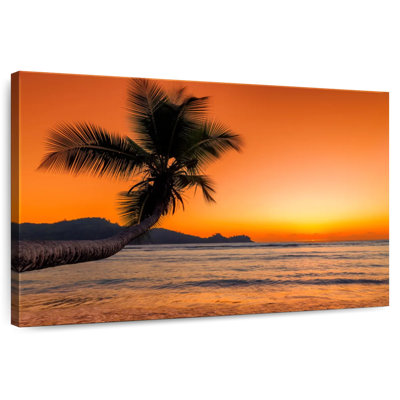 Gillard Beach Sunrise Palm