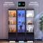 Glass Display Cabinet with 3 Color Led Lights, Wine Cabinet with Lock-1940893264