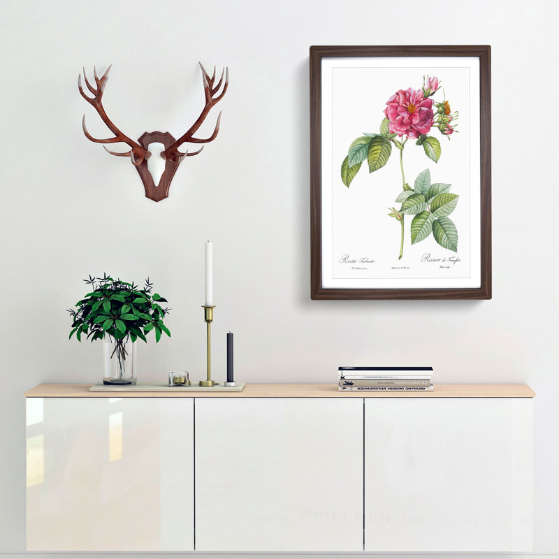 Rose of Frankfurt in Pink by Pierre-Joseph Redouté - Picture Frame Graphic Art Print on MDF, Walnut, 50cm H x 35cm W x 2cm D