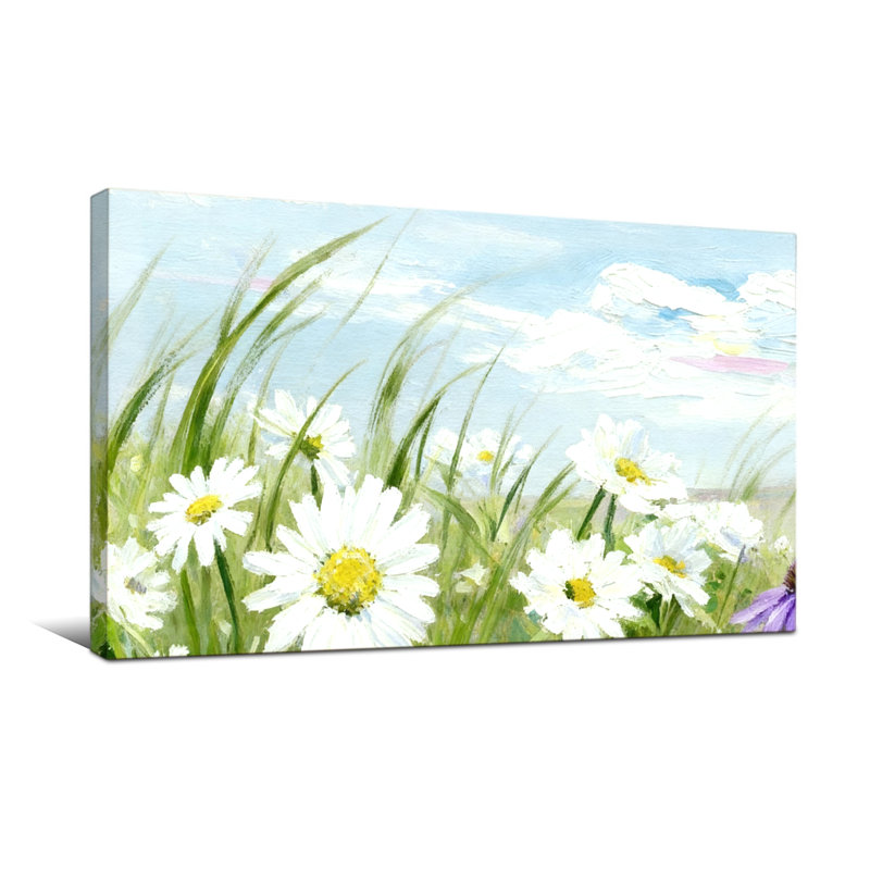 Plantes et fleurs fleurs de marguerites sur fond de ciel, H 24 po x l 48 po