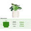 Ceramic Pot Planter