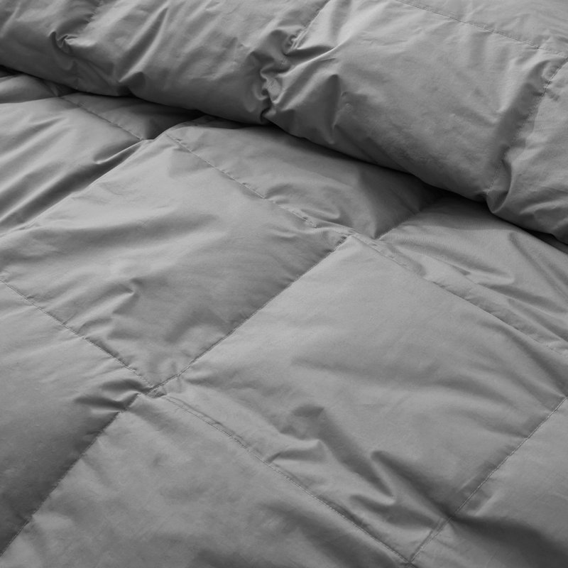 All Season Cotton Down Comforter/Duvet Insert, Gray, Twin Comforter