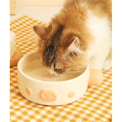 Pet Bowl