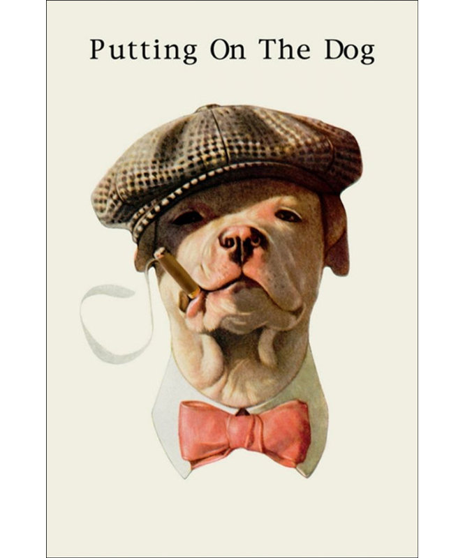 Dog in Hat and Bow Tie Smoking a Cigar