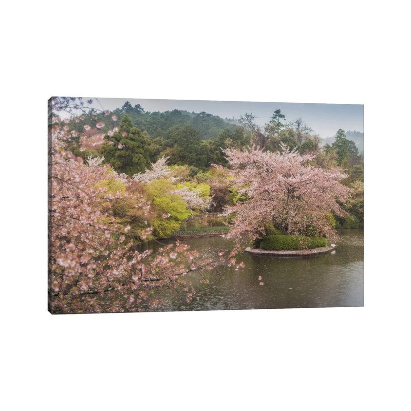 Spring In Japan XVII by Daniel Kordan - Wrapped Canvas Print, 20.32 cm H x 30.48 cm W