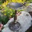 Bain de roses, bronze antique
