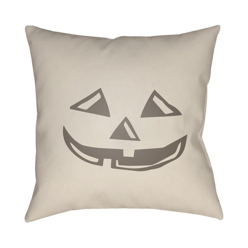  Indoor/Outdoor Throw Pillow, 20" H x 20" W x 4" D, Beige