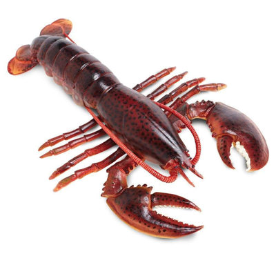 Homard du Maine
