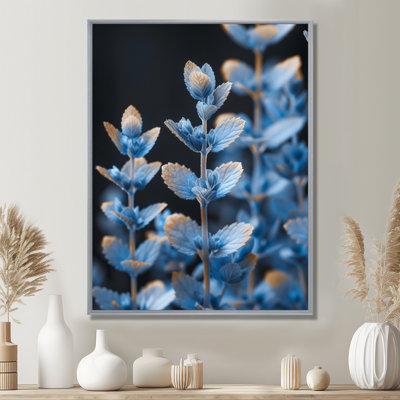 «Blue Black Botanical Beauty» Lupin Photo II - Lupin, art mural