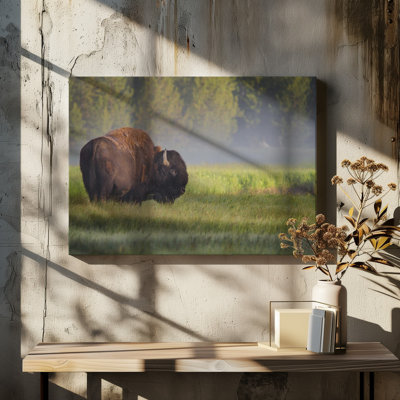 Wrapped Canvas Print