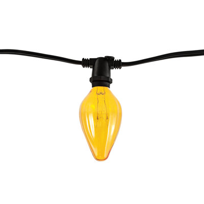 Adelene 14' Outdoor 10 - Bulb Standard Amber String Light (End to End Connectable)